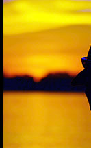 �y�y���[�zThe Eco Wilderness in Peru -���F�̃A�}�]���A�ʐF�̃C���J�̐��Ȃ�J��